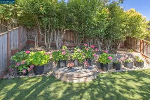 15 Loma Vista, Walnut Creek, CA 94597 - Photo 48
