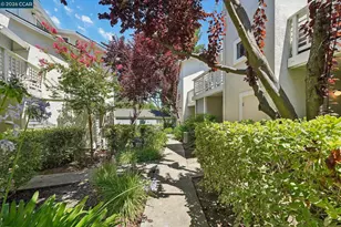 2592 Oak Rd, Walnut Creek, CA 94597 - Photo 54