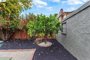 1410 Pearl St, Alameda, CA 94501 - Photo 48