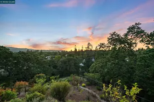 2426 Heritage Oaks Dr, Alamo, CA 94507 - Photo 54