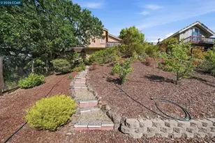 2426 Heritage Oaks Dr, Alamo, CA 94507 - Photo 38