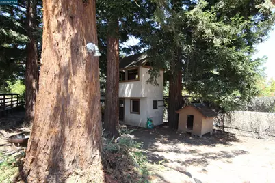 159 Ironwood Dr, Pacheco, CA 94553 - Photo 32