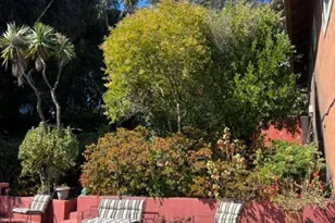 2819 Shane Dr, Richmond, CA 94806 - Photo 22