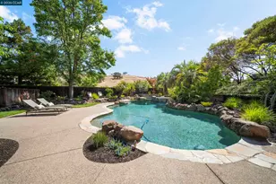 115 Byerley Ct, Alamo, CA 94507 - Photo 48