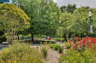 2586 Oak Rd, Walnut Creek, CA 94597 - Photo 30