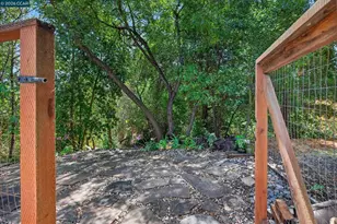 584 Mission Pl, Danville, CA 94526 - Photo 48