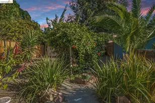 1242 Burnett St, Berkeley, CA 94702 - Photo 42