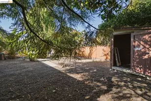 1242 Burnett St, Berkeley, CA 94702 - Photo 44