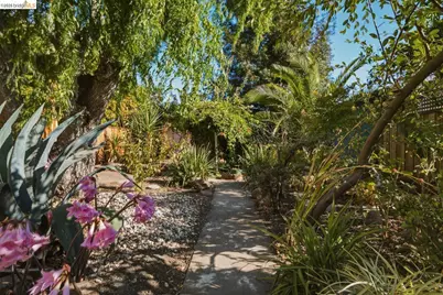 1242 Burnett St, Berkeley, CA 94702 - Photo 46
