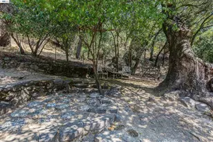 2323 Kilkare, Sunol, CA 94586 - Photo 38
