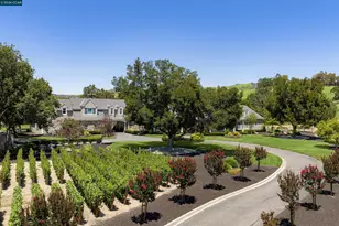 5401 Penny Ln, Danville, CA 94506 - Photo 68