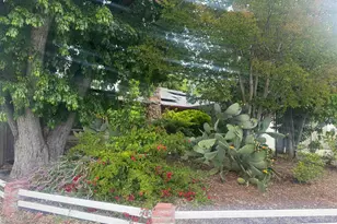 2029 Highland Dr, Concord, CA 94520 - Photo 4