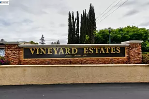 3263 Vineyard Ave, Pleasanton, CA 94566 - Photo 20