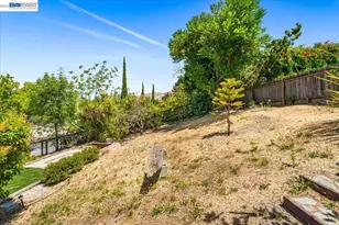 46935 Aloe Ct, Fremont, CA 94539 - Photo 62