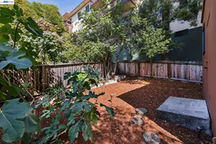542 Chetwood St, Oakland, CA 94610 - Photo 66