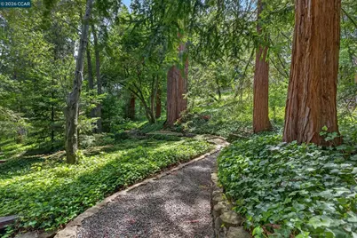 56 Camino Encinas, Orinda, CA 94563 - Photo 24