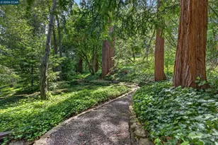 56 Camino Encinas, Orinda, CA 94563 - Photo 24