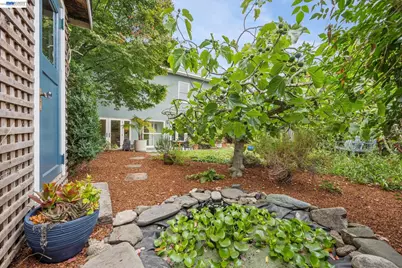 847 Peralta Avenue, Berkeley, CA 94707 - Photo 44