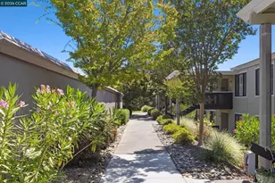 2101 Golden Rain Rd, Walnut Creek, CA 94595 - Photo 56