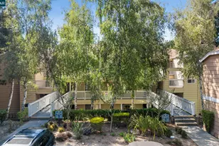 388 Mill Rd, Martinez, CA 94553 - Photo 44