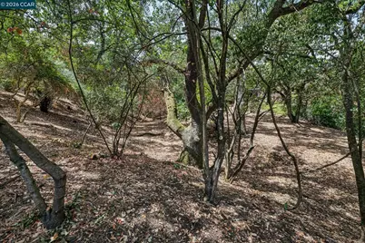 Ridge Road, Lafayette, CA 94549 - Photo 14