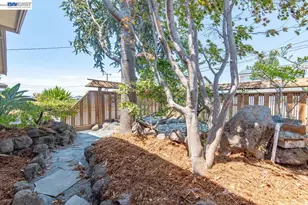 5223 Crane Ave, Castro Valley, CA 94546 - Photo 36