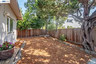 5223 Crane Ave, Castro Valley, CA 94546 - Photo 34