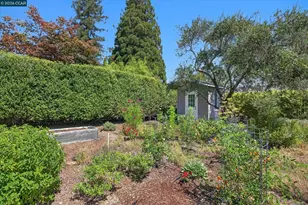 10 Hillcrest Dr, Orinda, CA 94563 - Photo 38