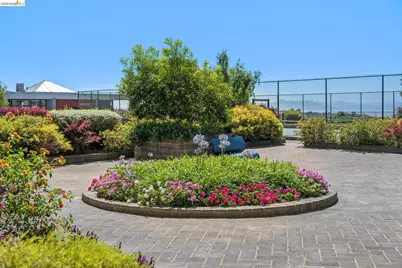 555 Pierce St #1125, Albany, CA 94706 - Photo 48