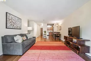 555 Pierce St, Albany, CA 94706 - Photo 12