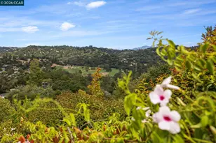 87 Claremont Ave, Orinda, CA 94563 - Photo 54