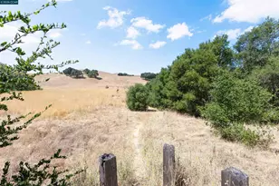 109 Blossom Ct, Danville, CA 94506 - Photo 40