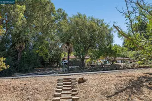 834 Carter Acres Ln, Martinez, CA 94553 - Photo 48