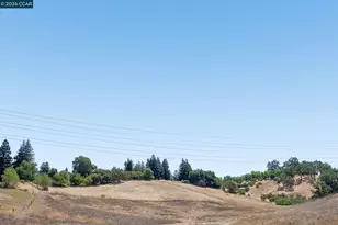 834 Carter Acres Ln, Martinez, CA 94553 - Photo 50