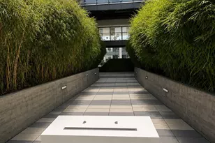 1288 Howard St, San Francisco, CA 94103 - Photo 16