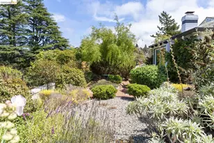 1064 Overlook Rd, Berkeley, CA 94708 - Photo 48