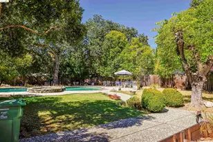 182 La Questa Dr, Danville, CA 94526 - Photo 18
