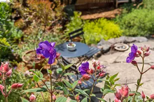 218 Cambridge Ave, Kensington, CA 94708 - Photo 82