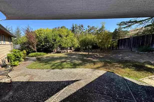 1167 Larch Ave, Moraga, CA 94556 - Photo 14