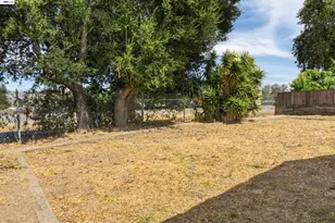 34704 Locke Ave, Fremont, CA 94555 - Photo 34