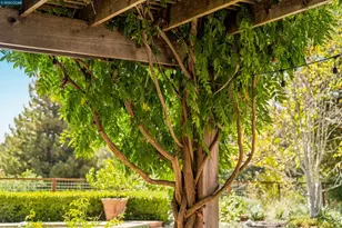 529 Carleton Way, Alamo, CA 94507 - Photo 52