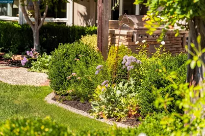 529 Carleton Way, Alamo, CA 94507 - Photo 72