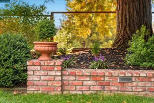 529 Carleton Way, Alamo, CA 94507 - Photo 64
