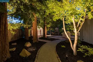 645 Birchwood Ct, Danville, CA 94506 - Photo 42