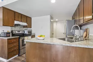 2537 Blue Rock Ct, San Jose, CA 95133 - Photo 10