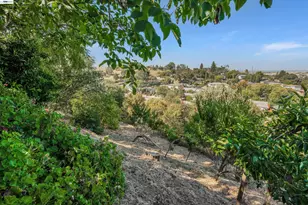 327 Kingston Ave, Martinez, CA 94553 - Photo 42