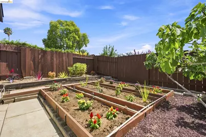 509 Junipero St, Pleasanton, CA 94566 - Photo 74