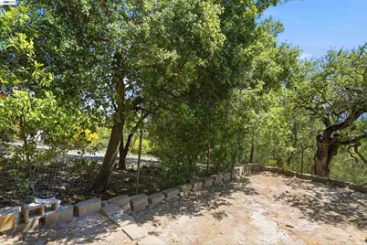 506 Oakshire Place, Alamo, CA 94507 - Photo 48