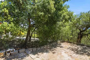506 Oakshire Pl, Alamo, CA 94507 - Photo 48