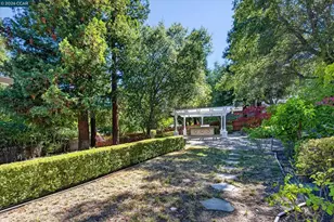 891 Livorna Rd, Alamo, CA 94507 - Photo 50